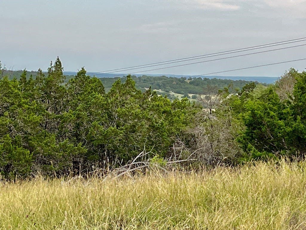 10.02 acres in Gillespie County gallery image 4