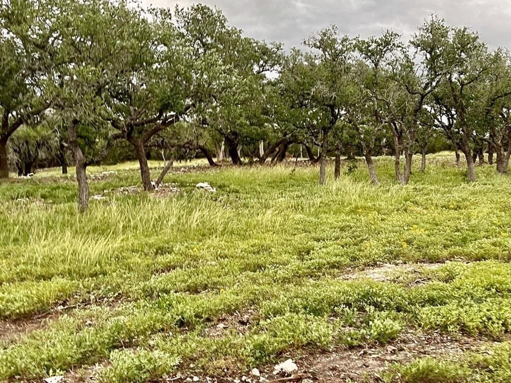 10.02 acres in Gillespie County featured view