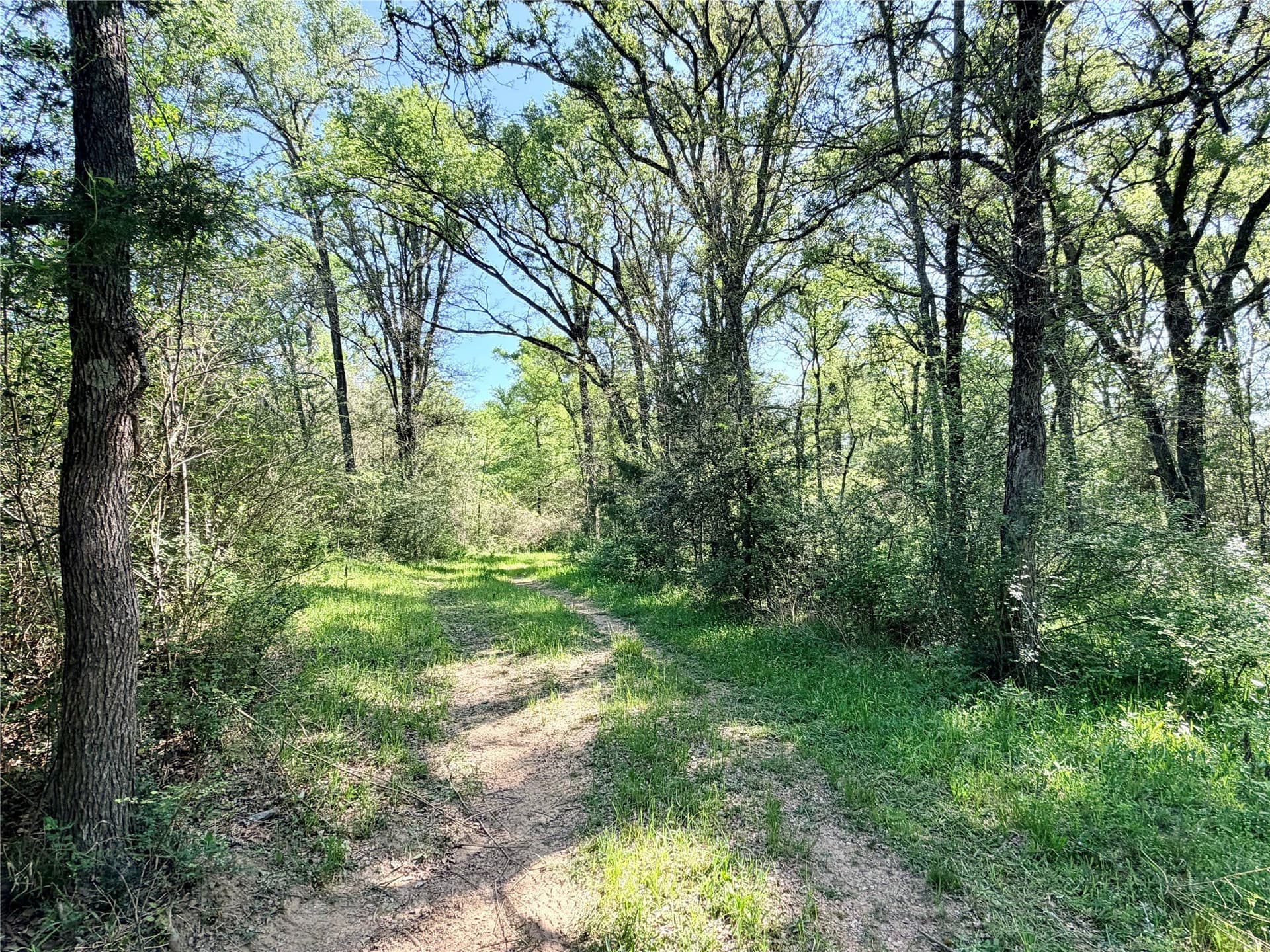 213.5 acres in Freestone County - photo 29