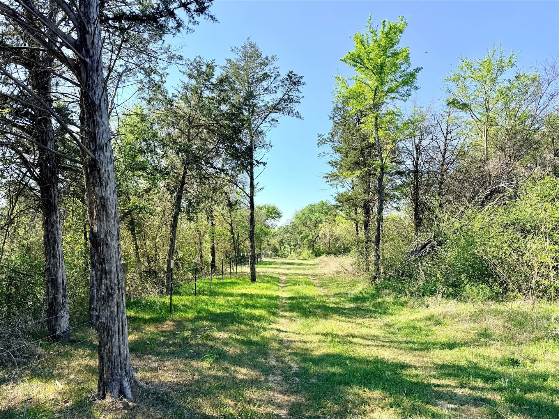 213.5 acres in Freestone County - photo 32