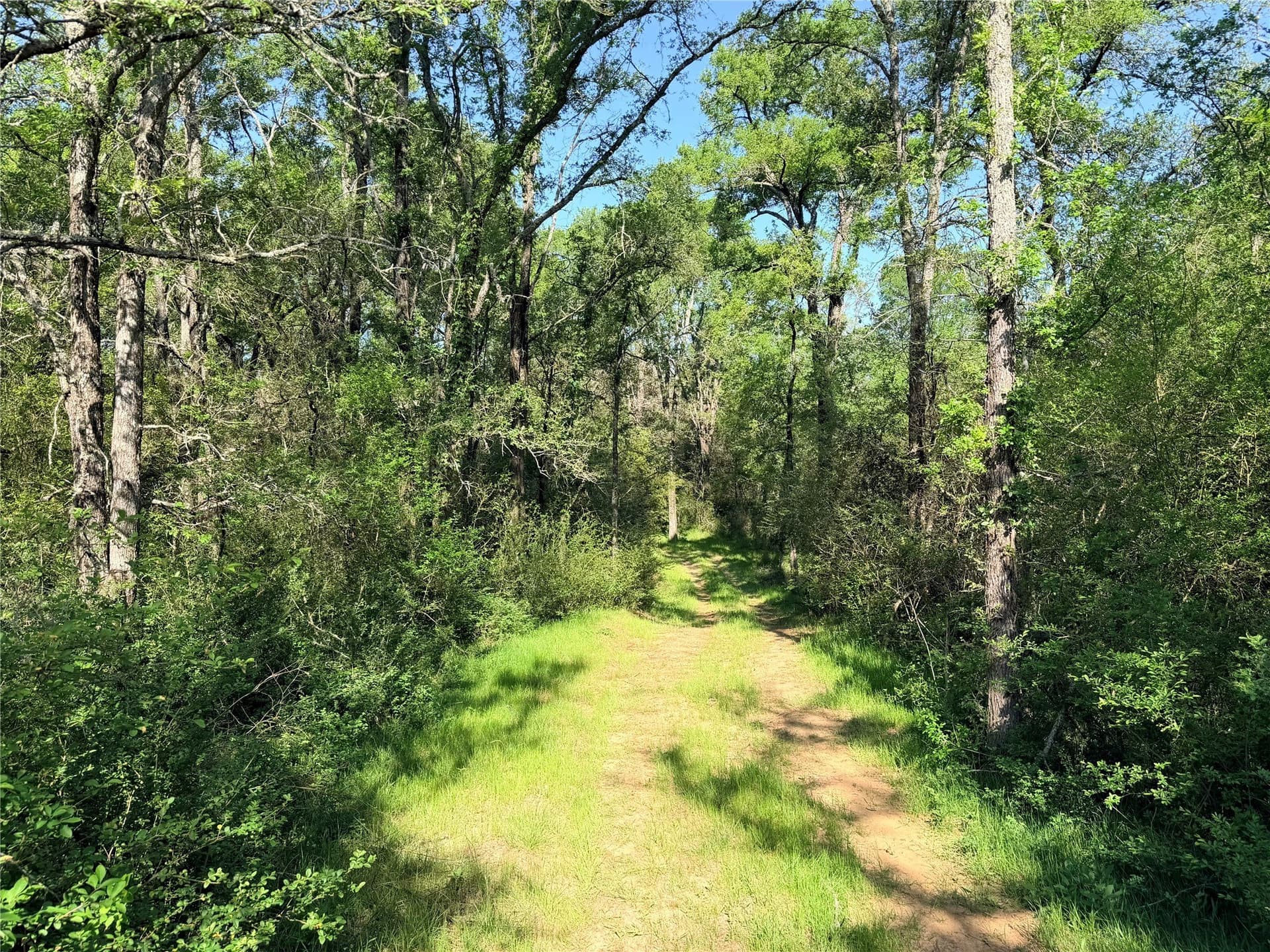 213.5 acres in Freestone County - photo 22