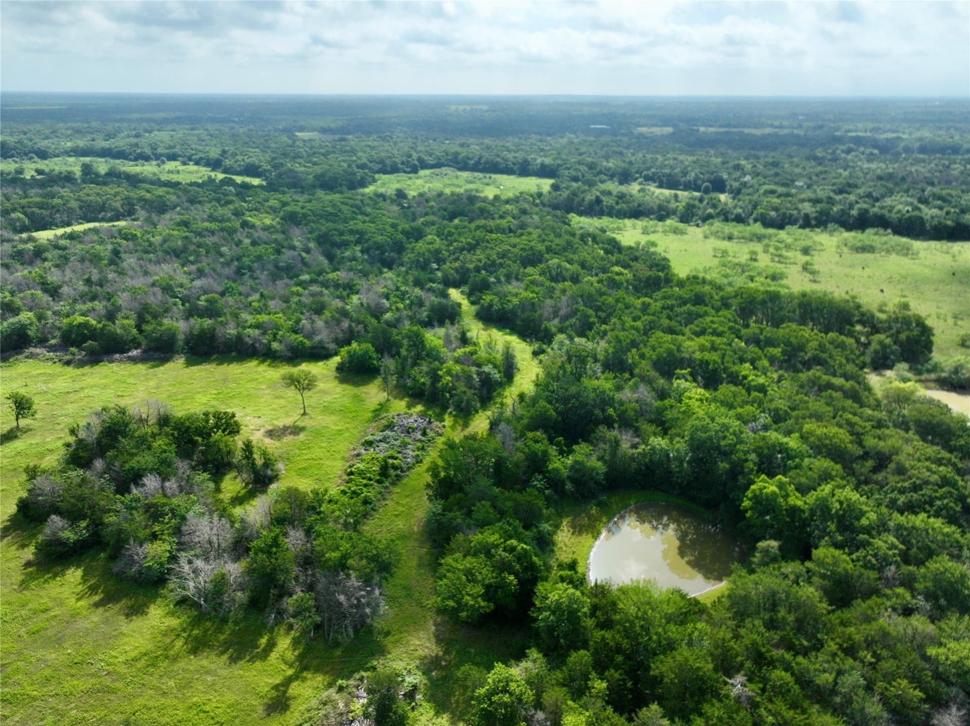213.5 acres in Freestone County - photo 6