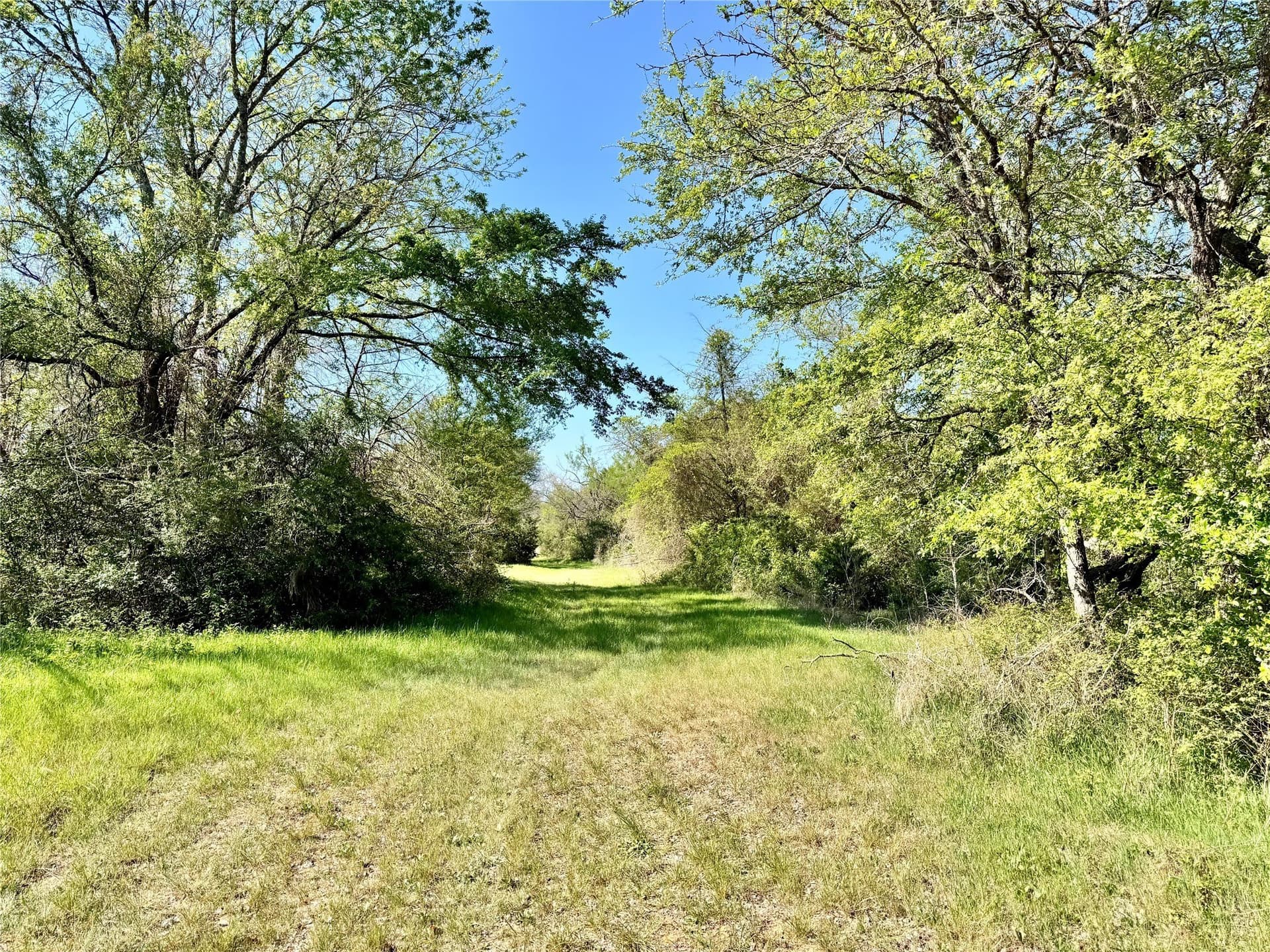 213.5 acres in Freestone County - photo 6