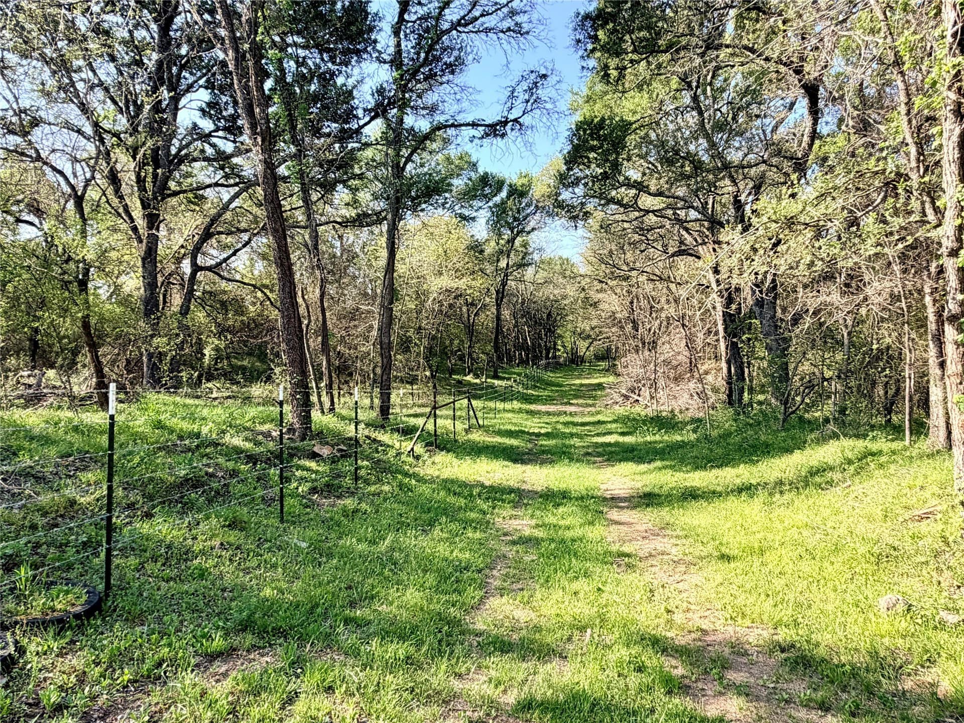 213.5 acres in Freestone County - photo 23