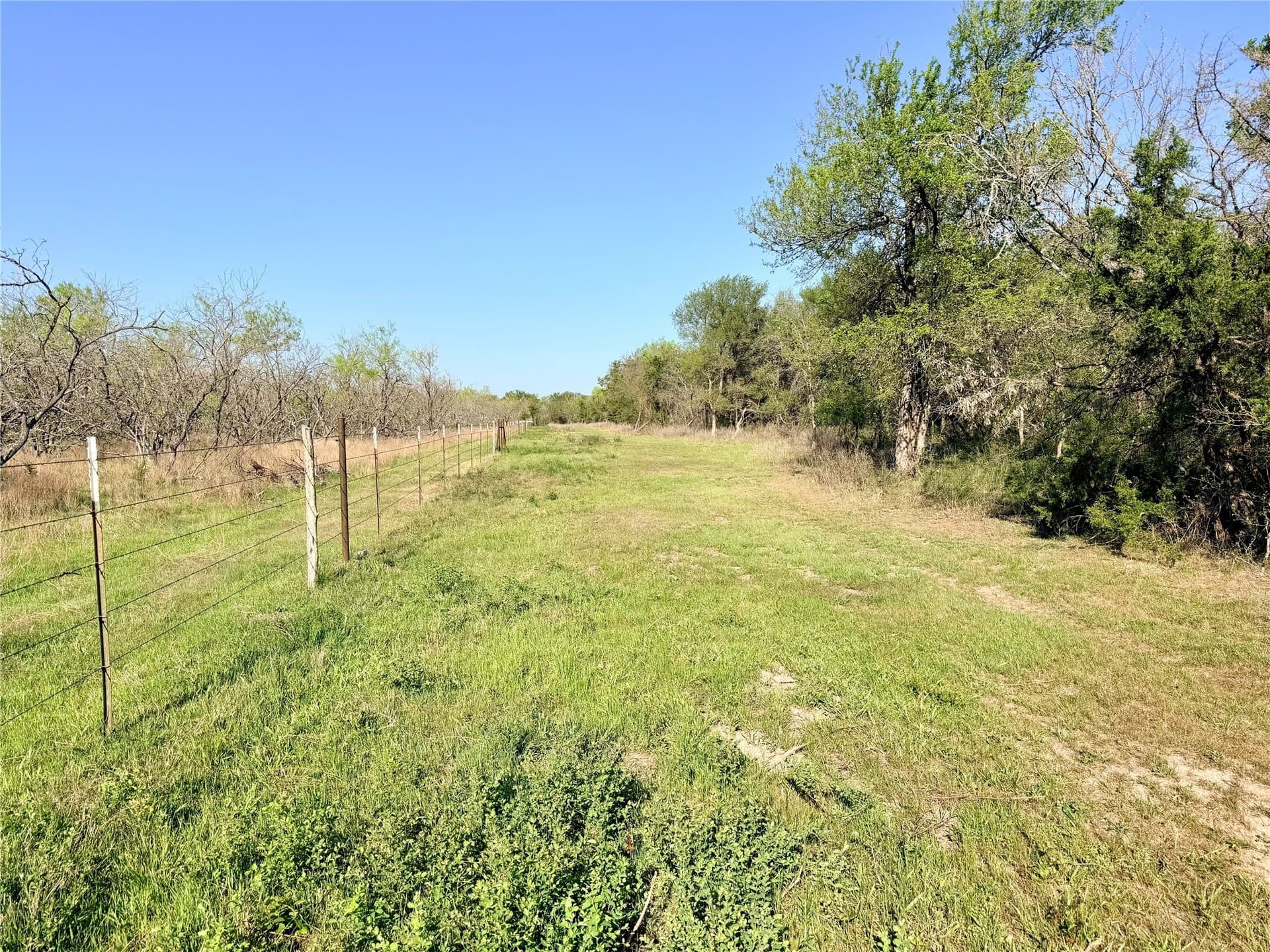 213.5 acres in Freestone County - photo 19