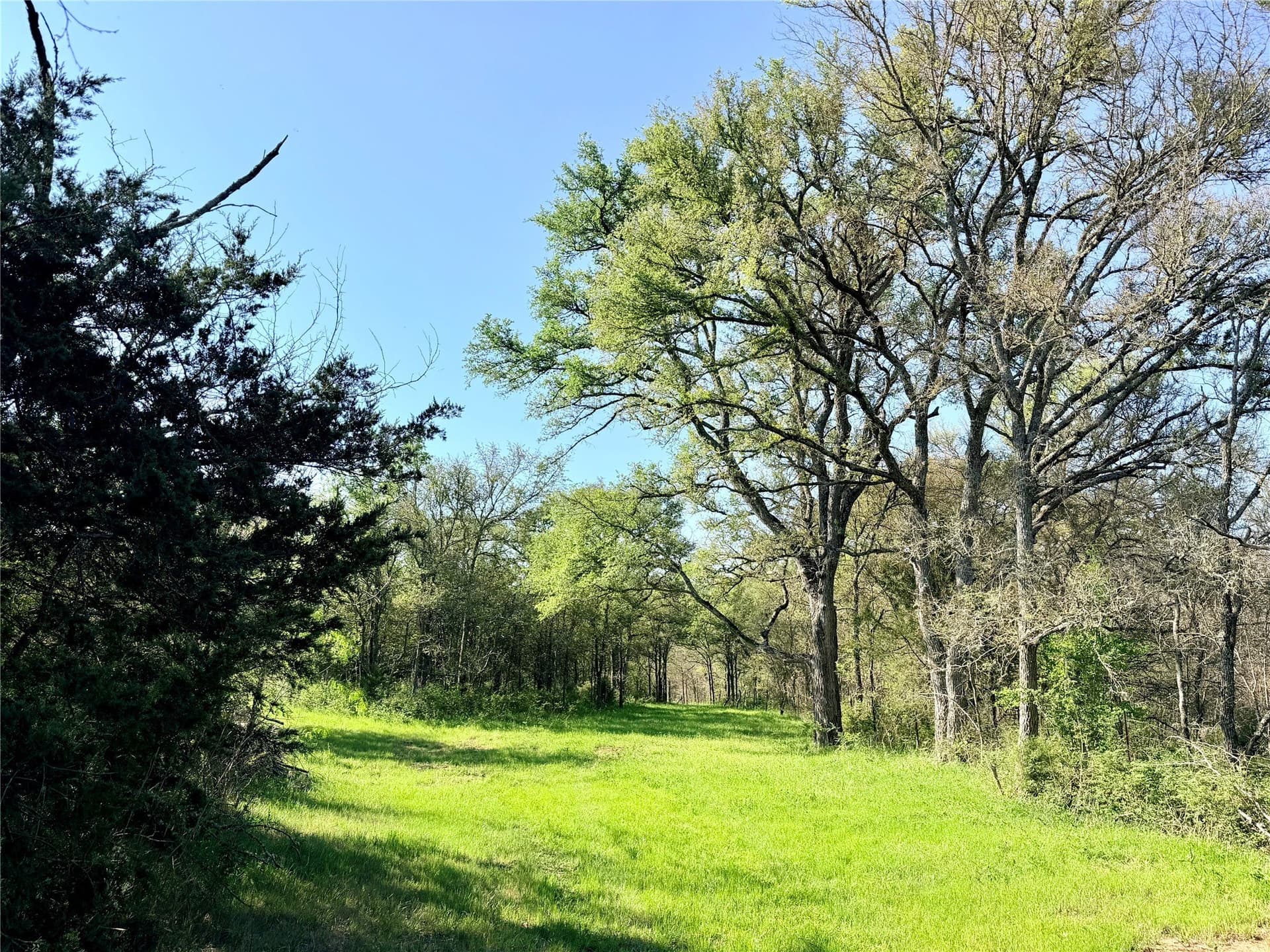 213.5 acres in Freestone County - photo 28