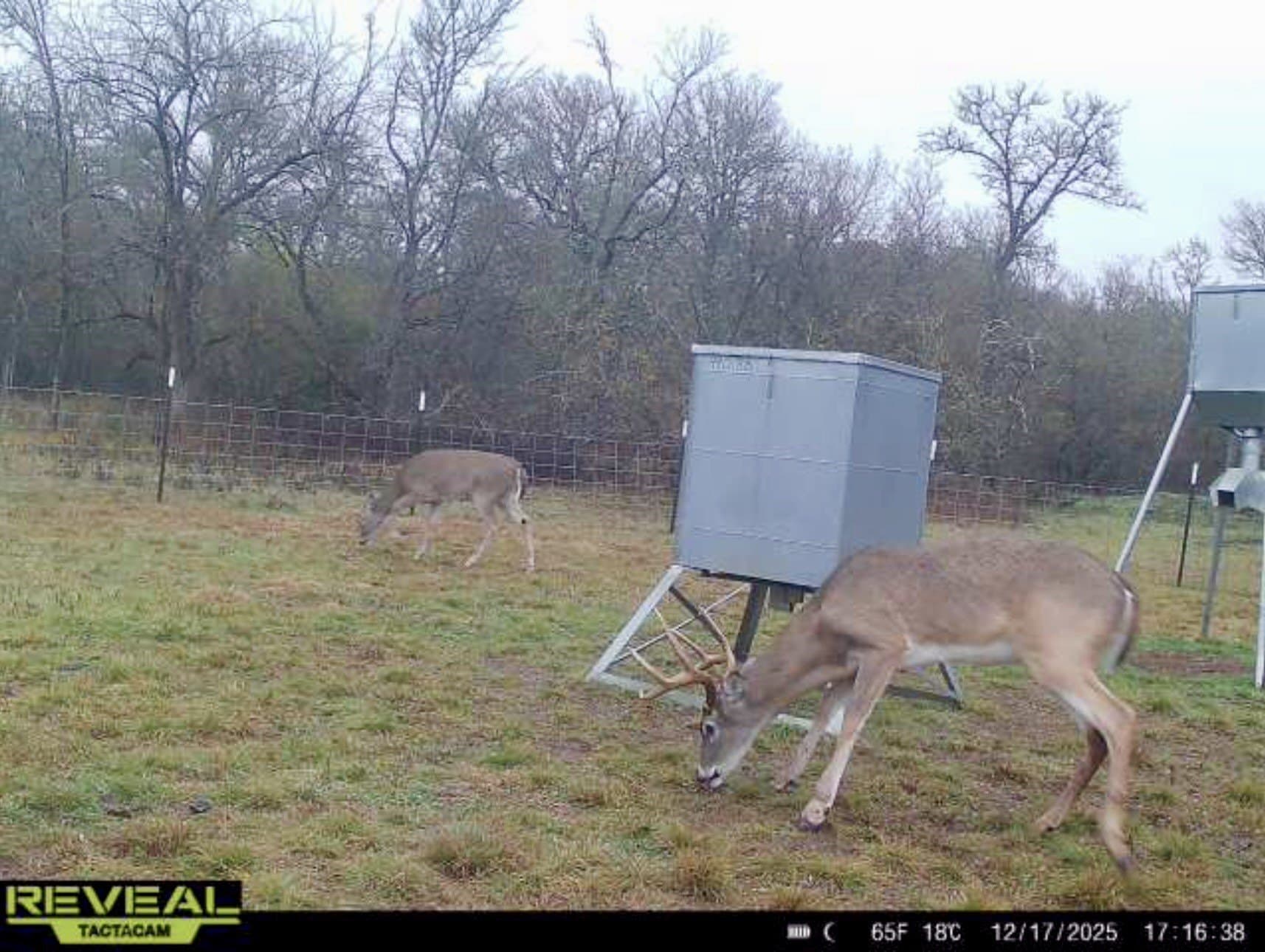 213.5 acres in Freestone County - photo 14