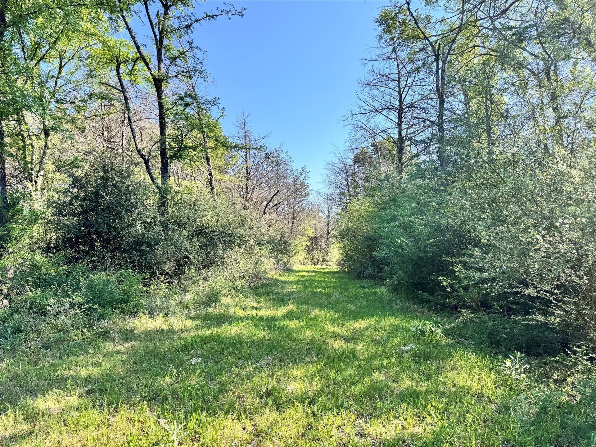 213.5 acres in Freestone County - photo 17