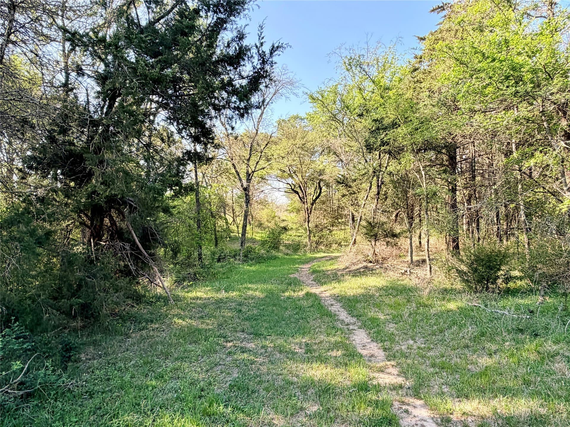 213.5 acres in Freestone County - photo 7