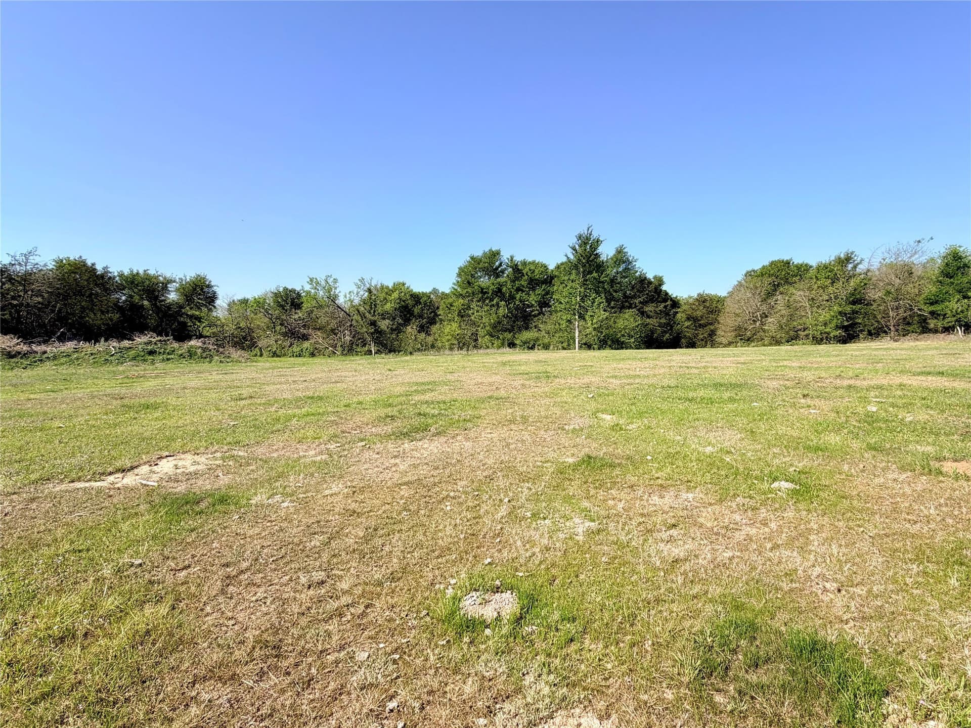 213.5 acres in Freestone County - photo 10