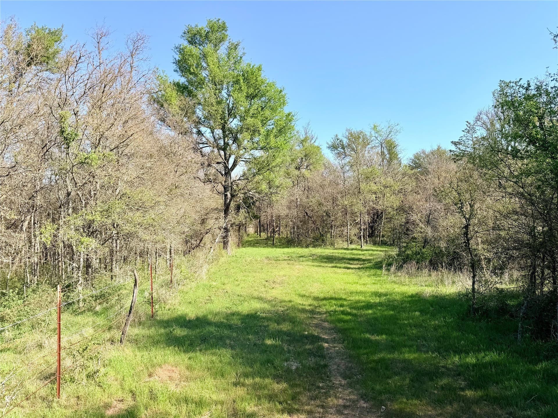 213.5 acres in Freestone County - photo 30