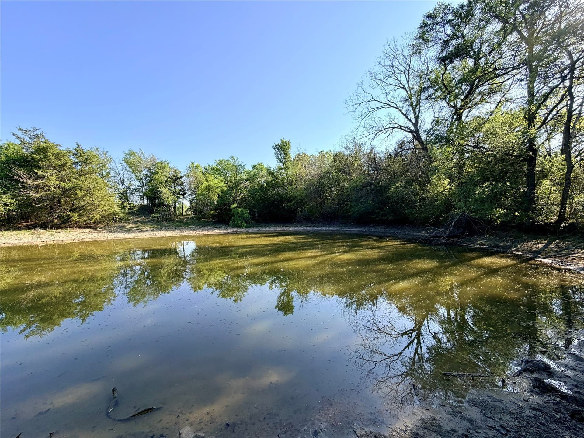 213.5 acres in Freestone County - photo 4