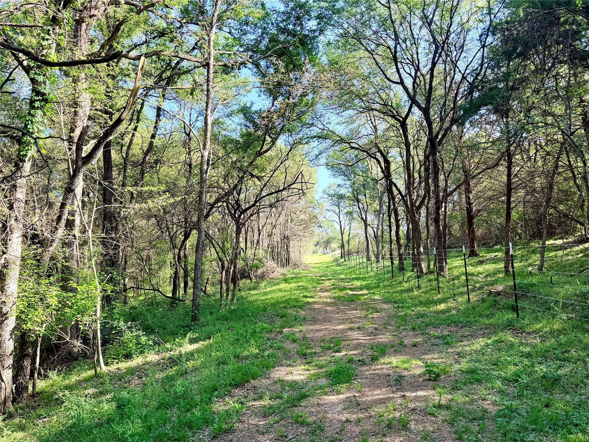 213.5 acres in Freestone County - photo 26