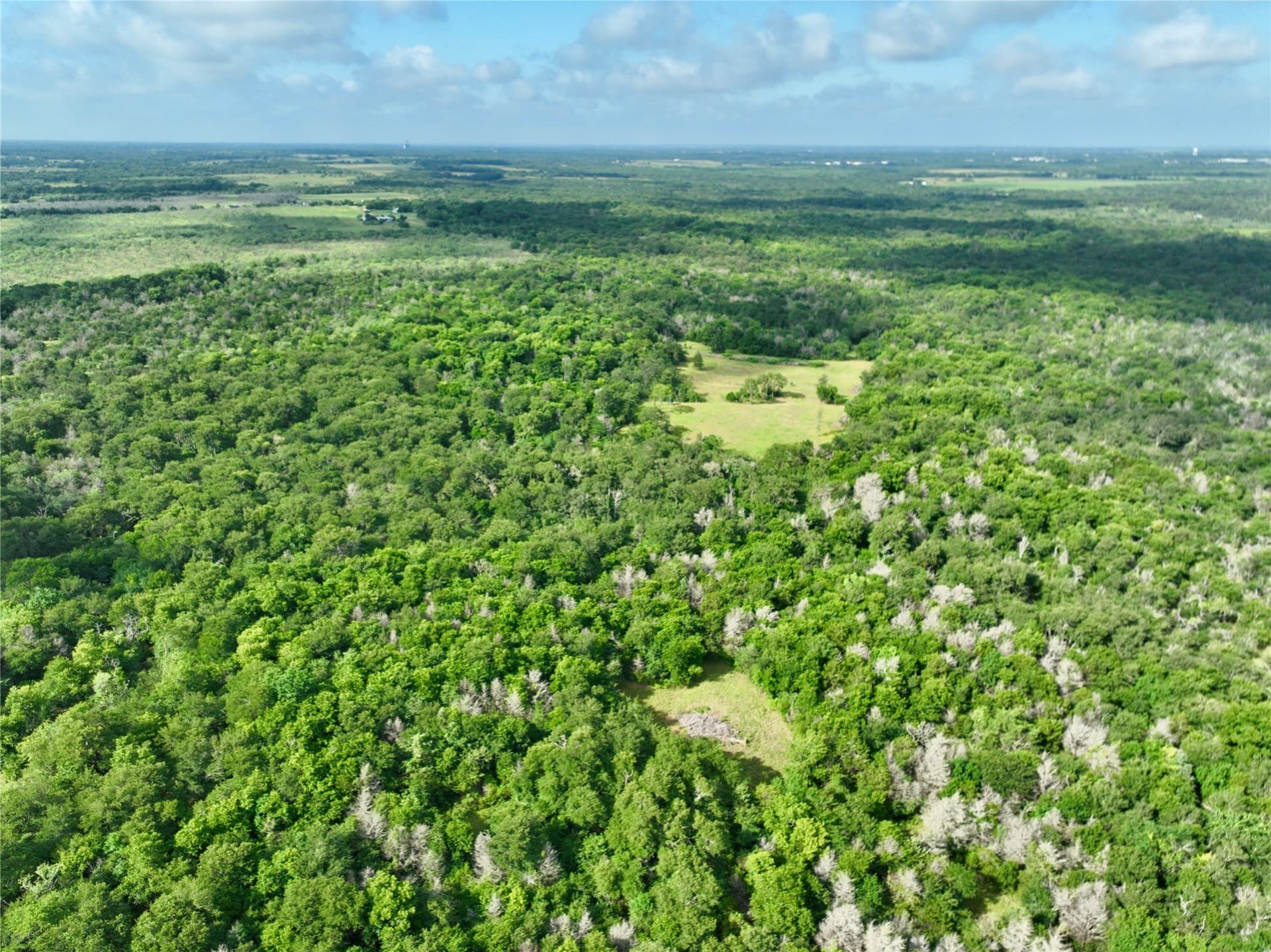 213.5 acres in Freestone County - photo 40