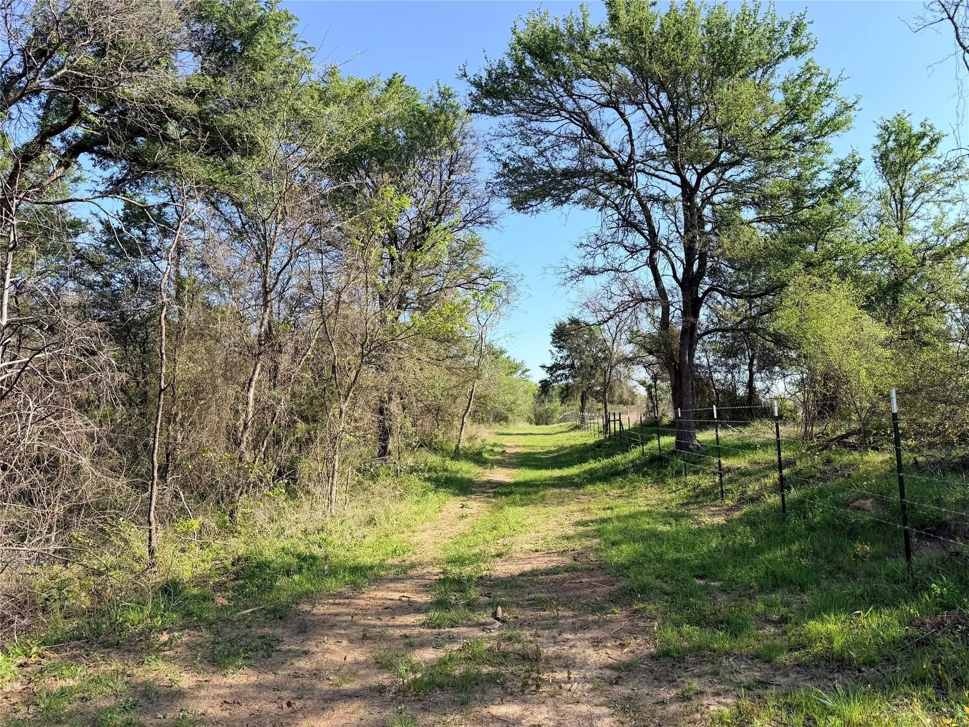 213.5 acres in Freestone County - photo 18