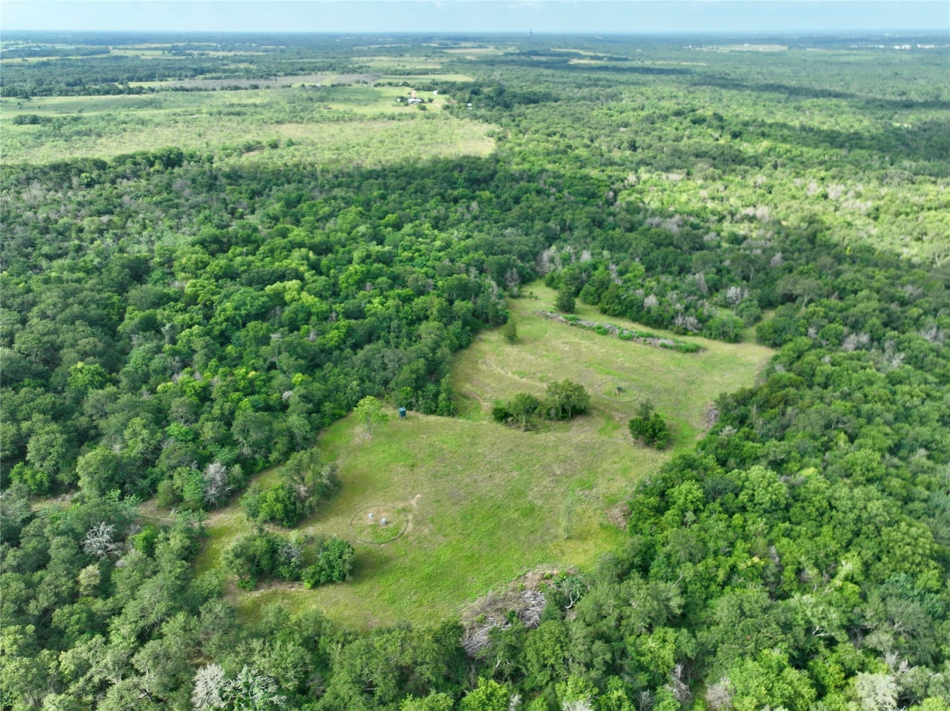 213.5 acres in Freestone County - photo 7