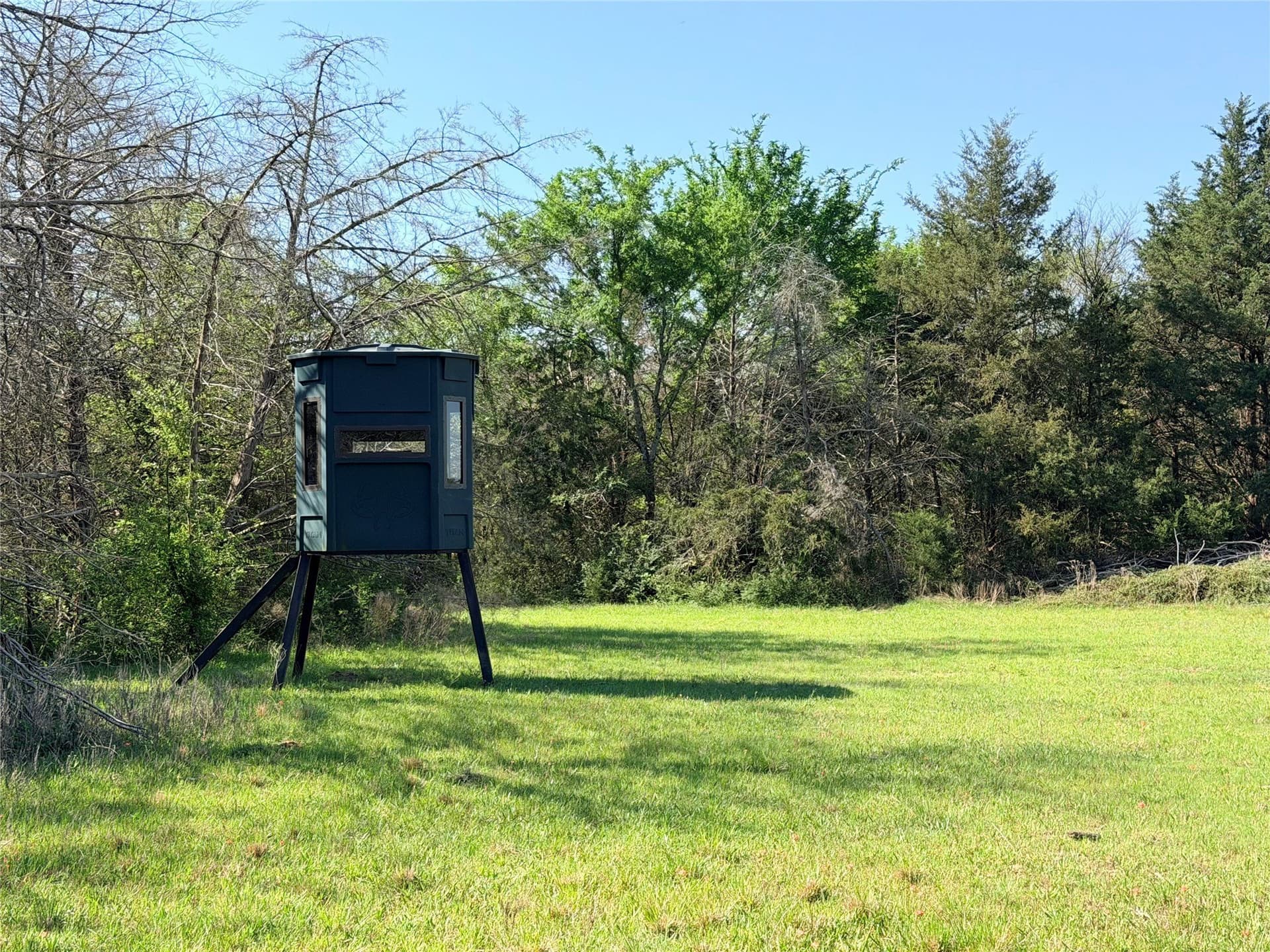 213.5 acres in Freestone County - photo 12