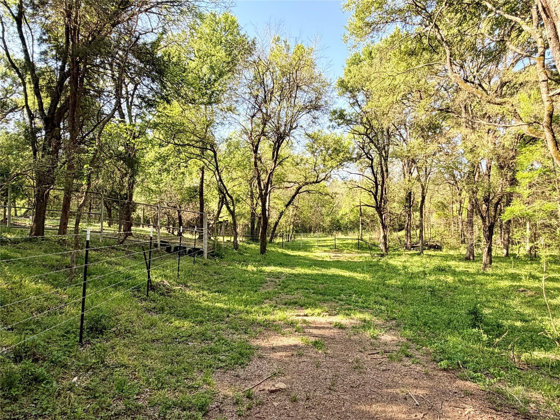 213.5 acres in Freestone County - photo 24