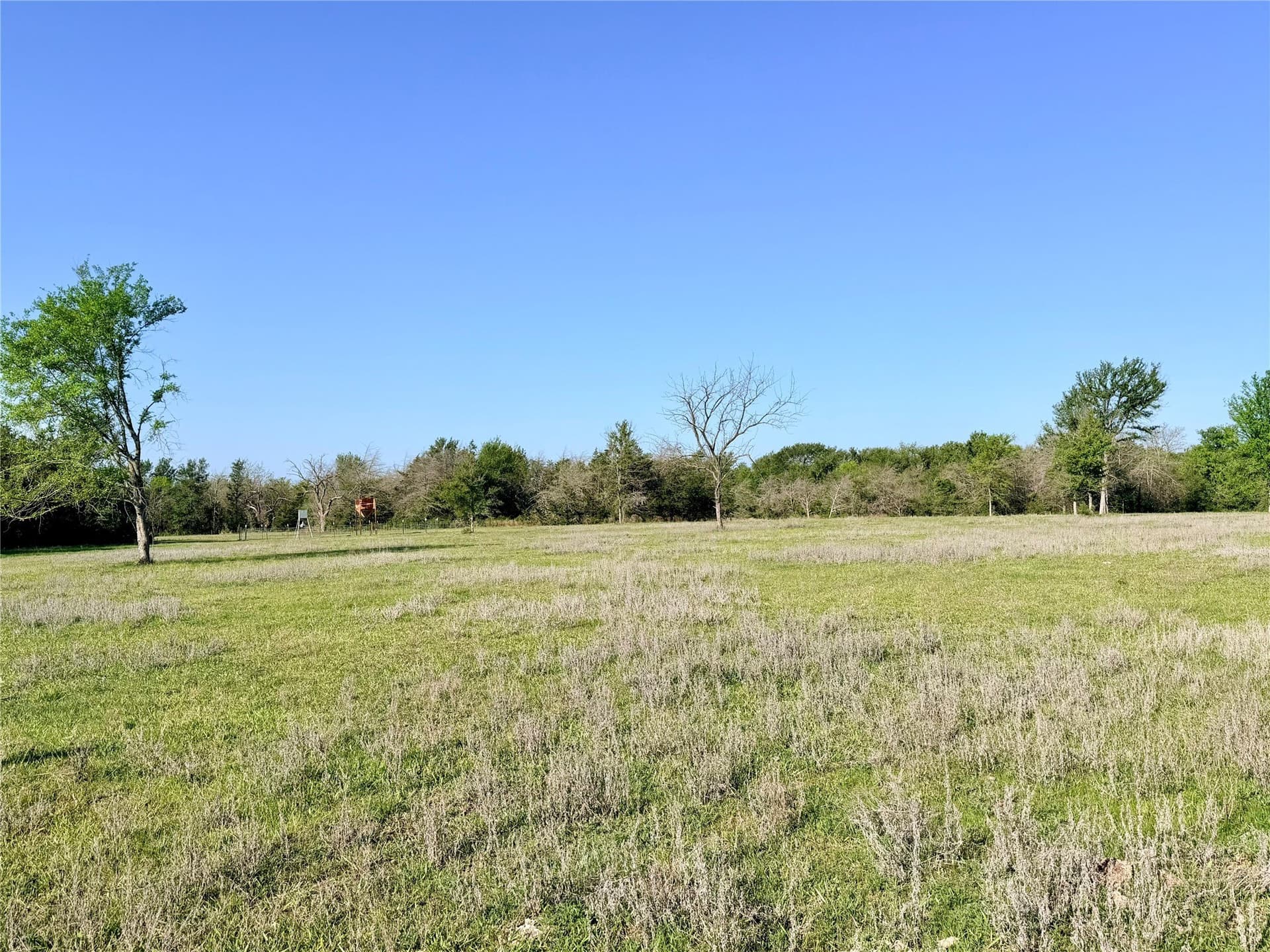 213.5 acres in Freestone County - photo 9