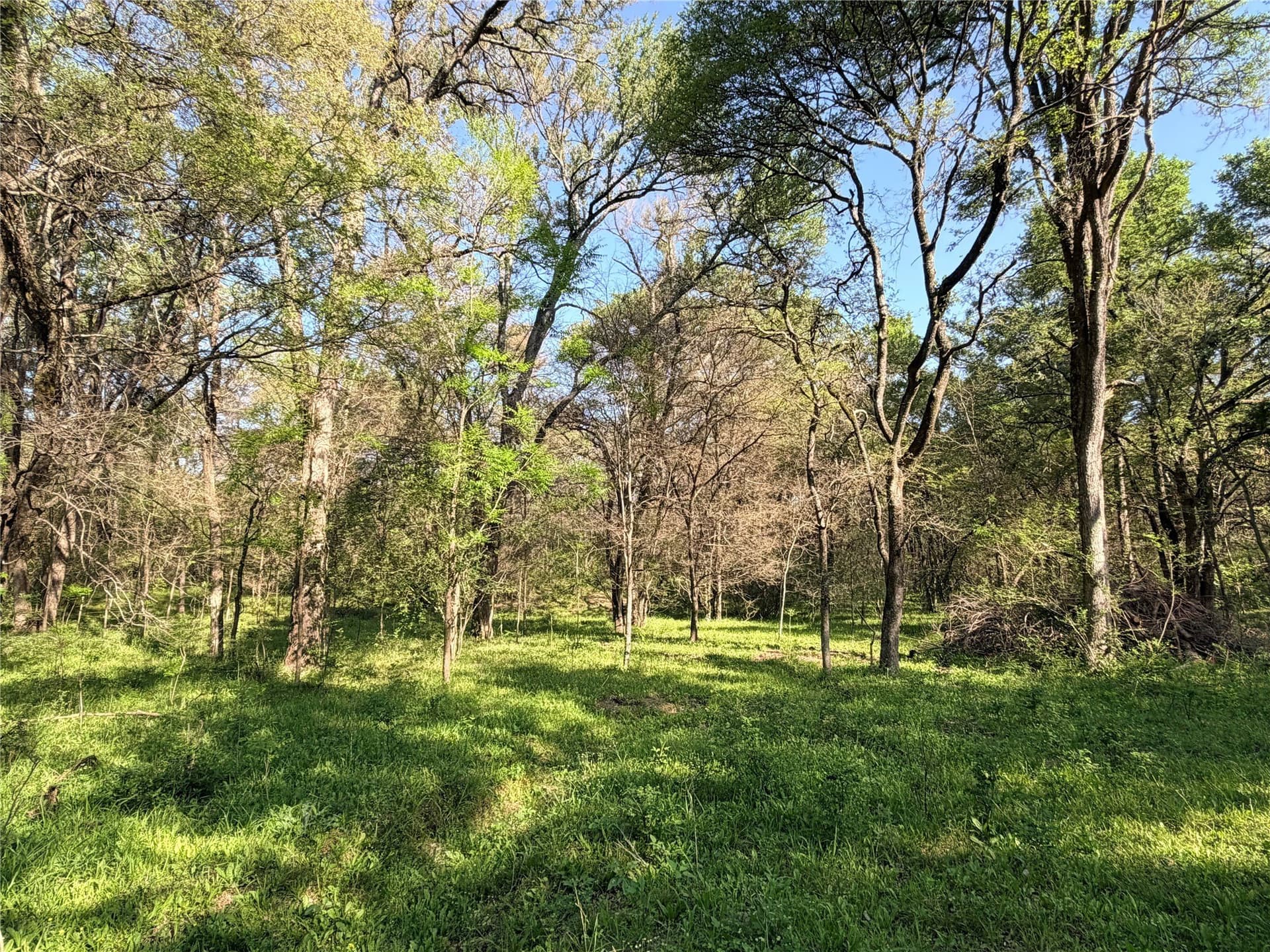 213.5 acres in Freestone County - photo 27