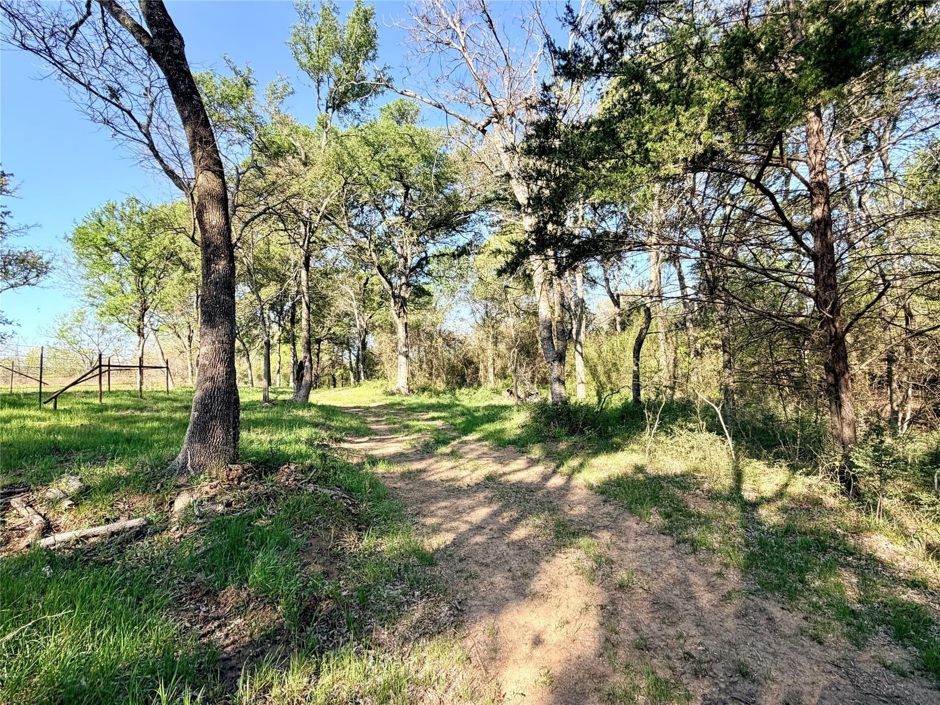213.5 acres in Freestone County - photo 25