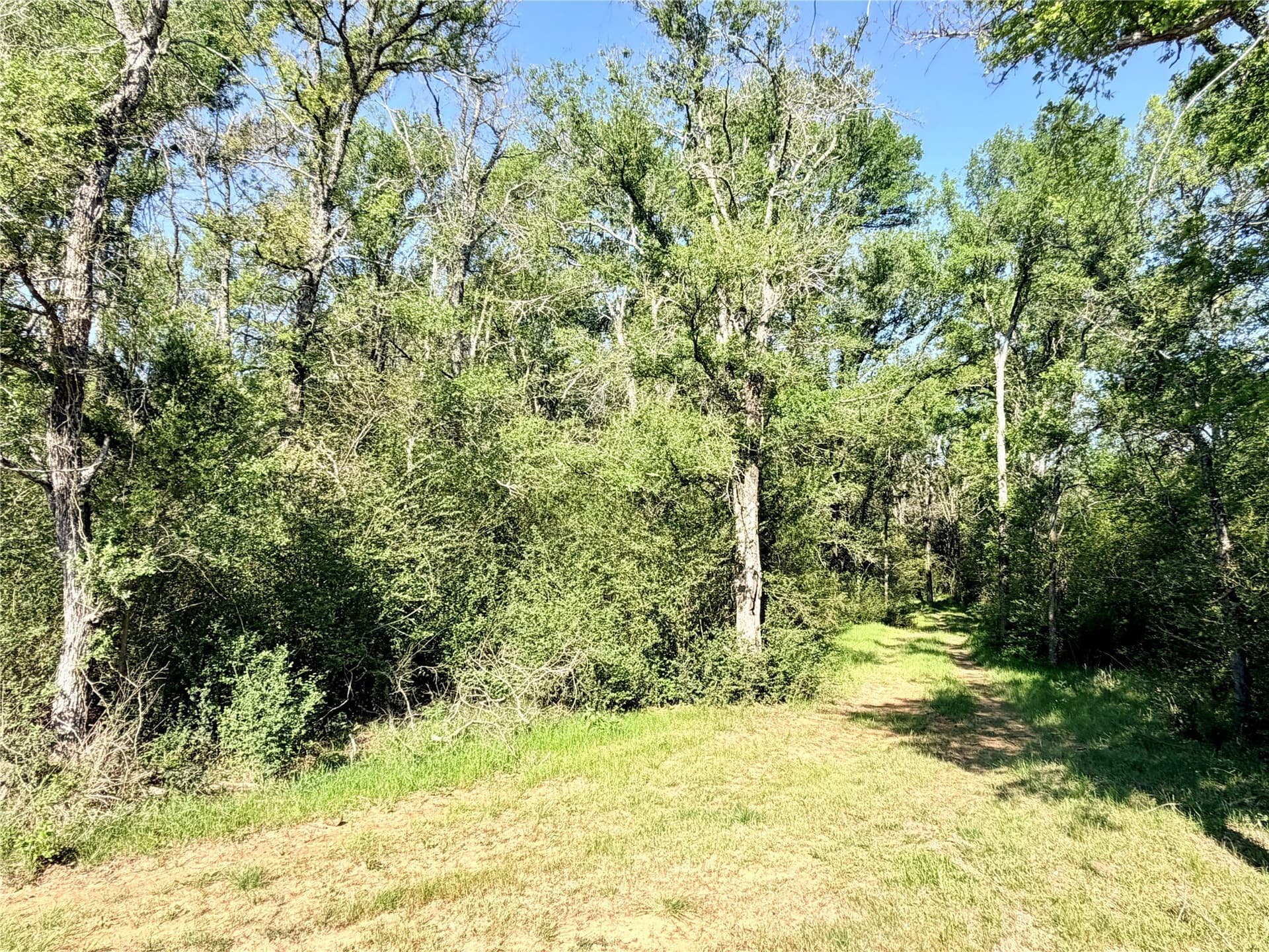 213.5 acres in Freestone County - photo 5