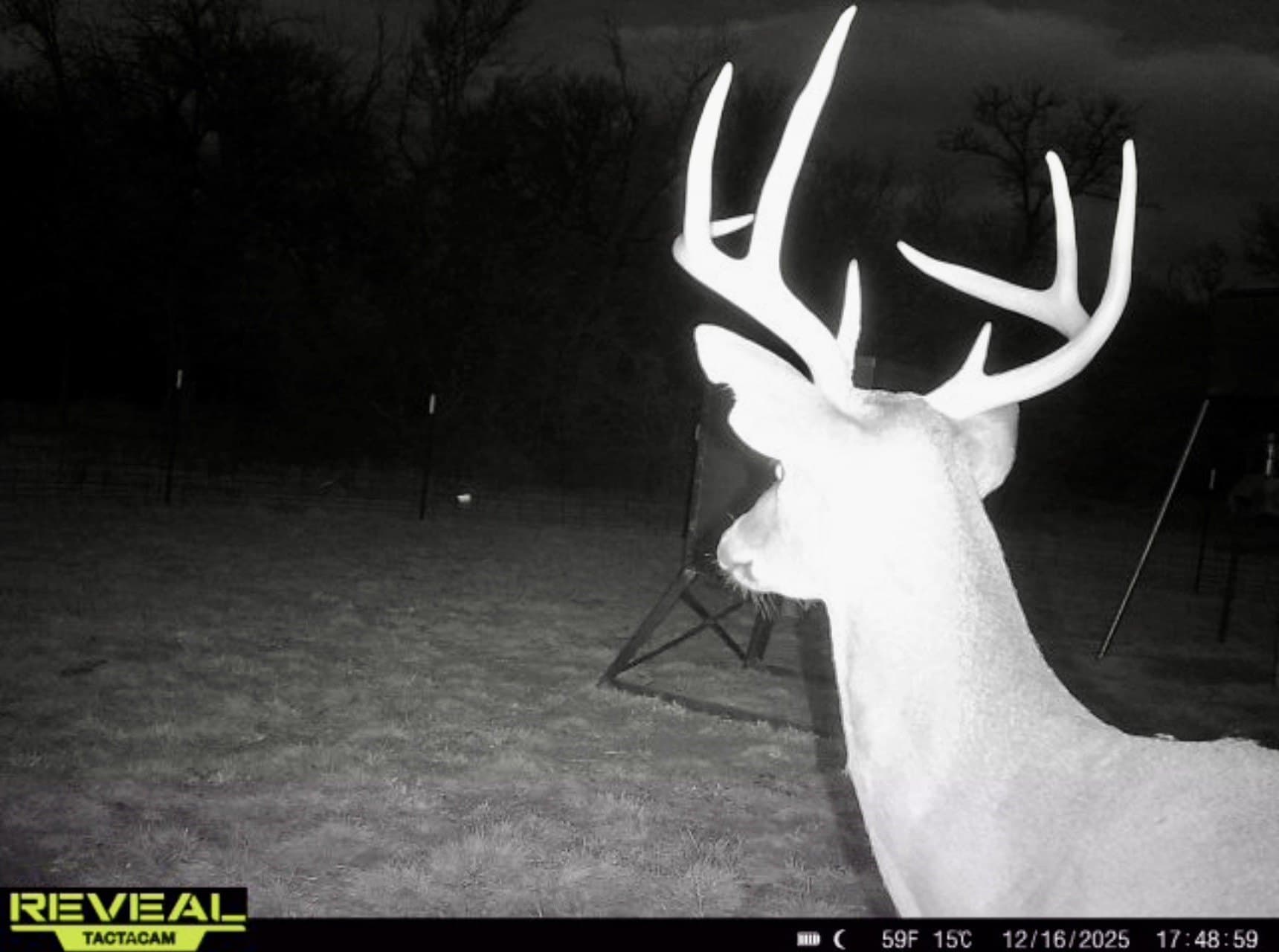 213.5 acres in Freestone County - photo 3