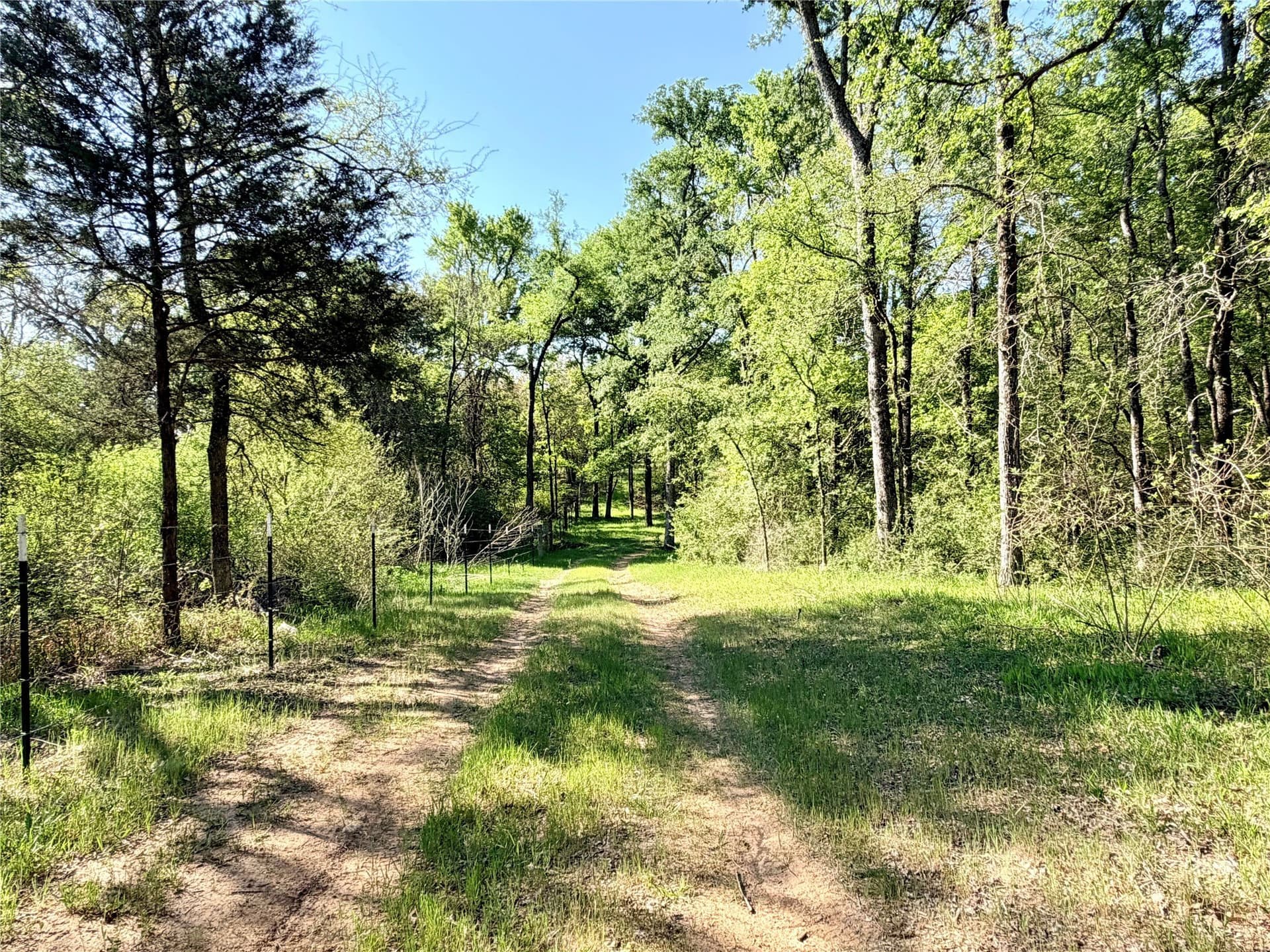 213.5 acres in Freestone County - photo 33