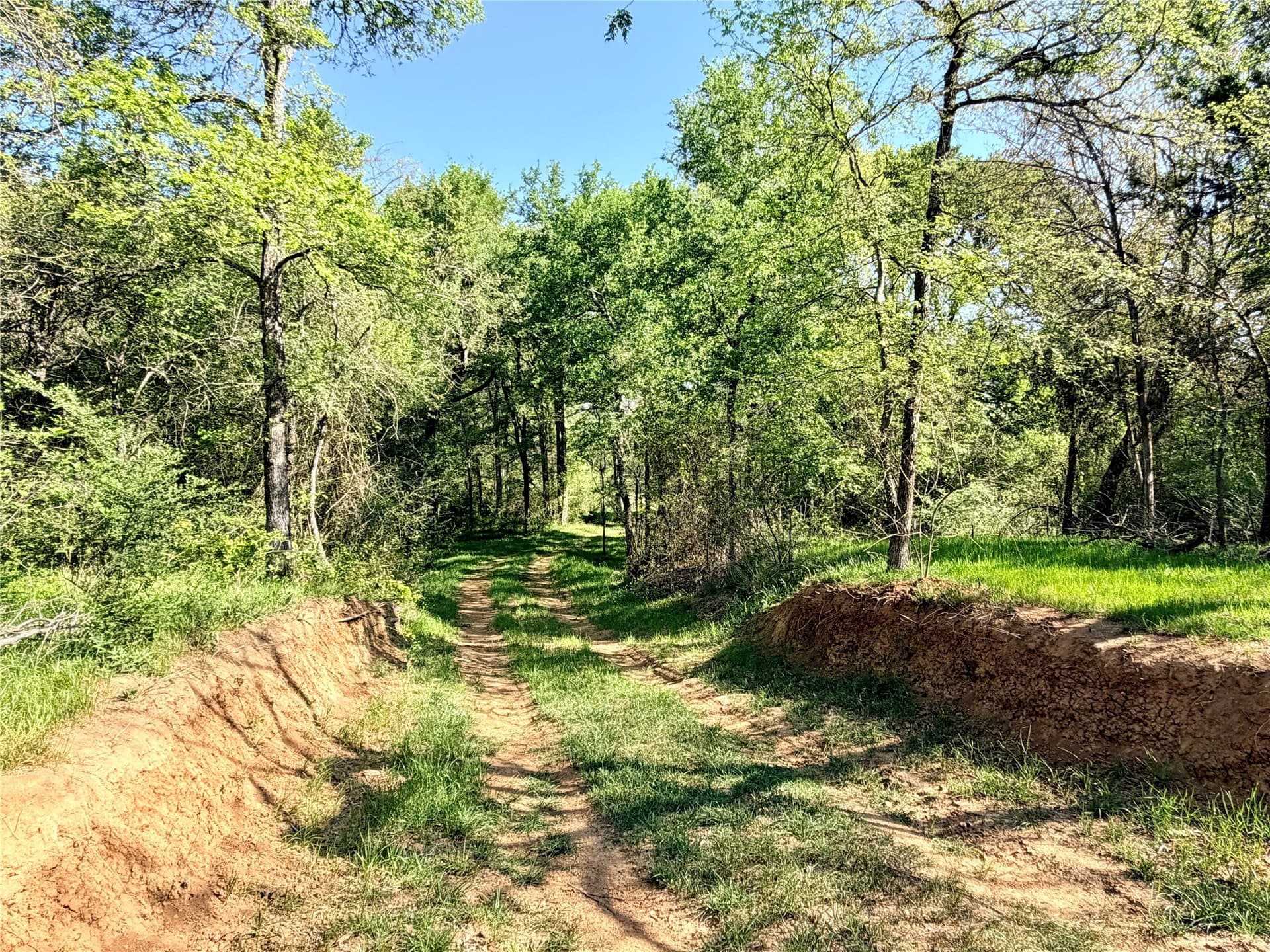 213.5 acres in Freestone County - photo 34