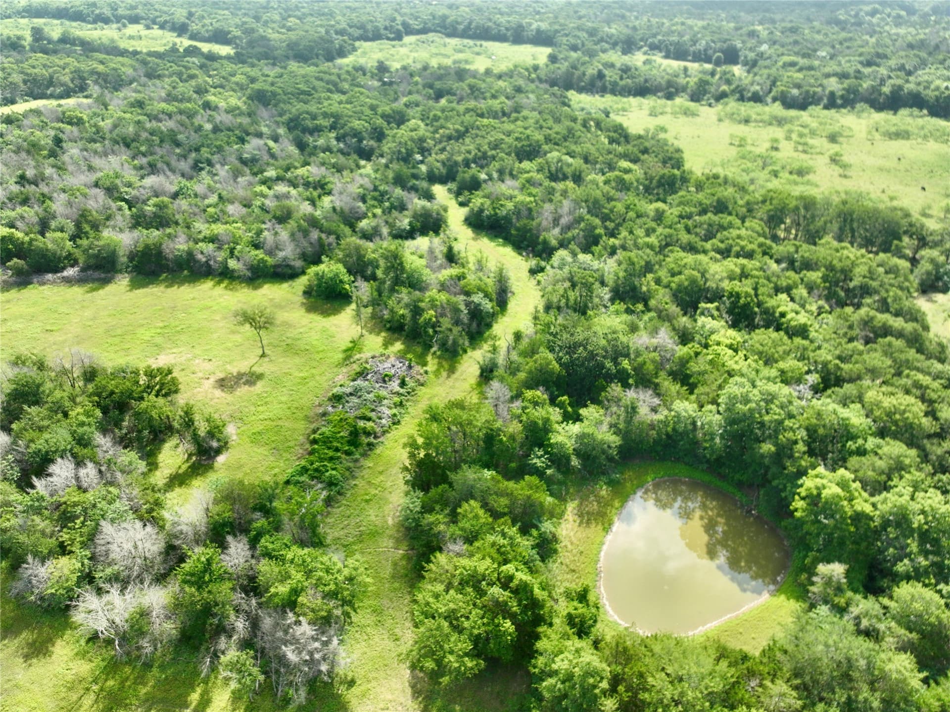 213.5 acres in Freestone County - photo 5