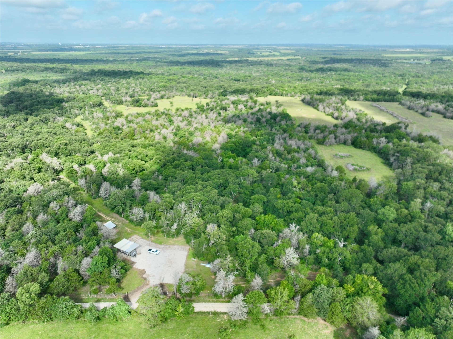 213.5 acres in Freestone County - photo 3