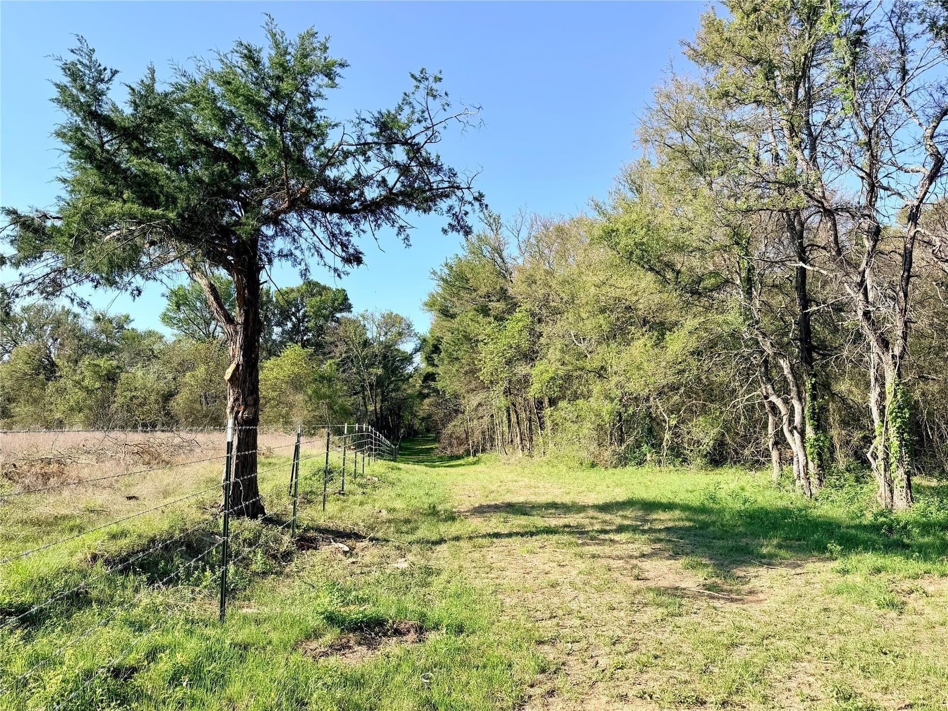 213.5 acres in Freestone County - photo 20