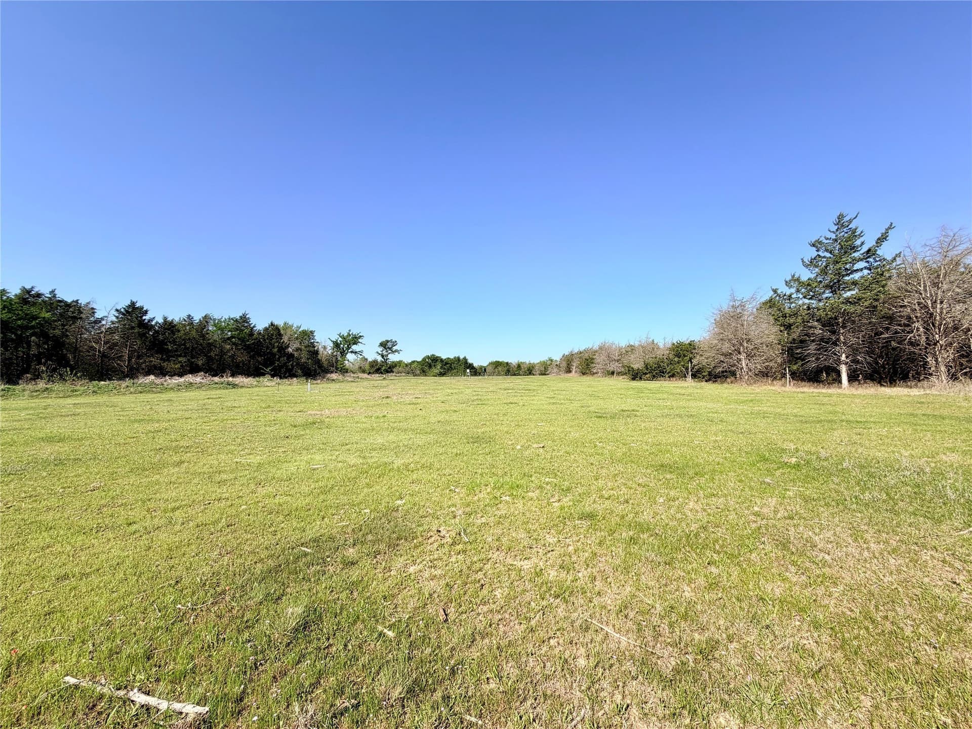 213.5 acres in Freestone County - photo 8