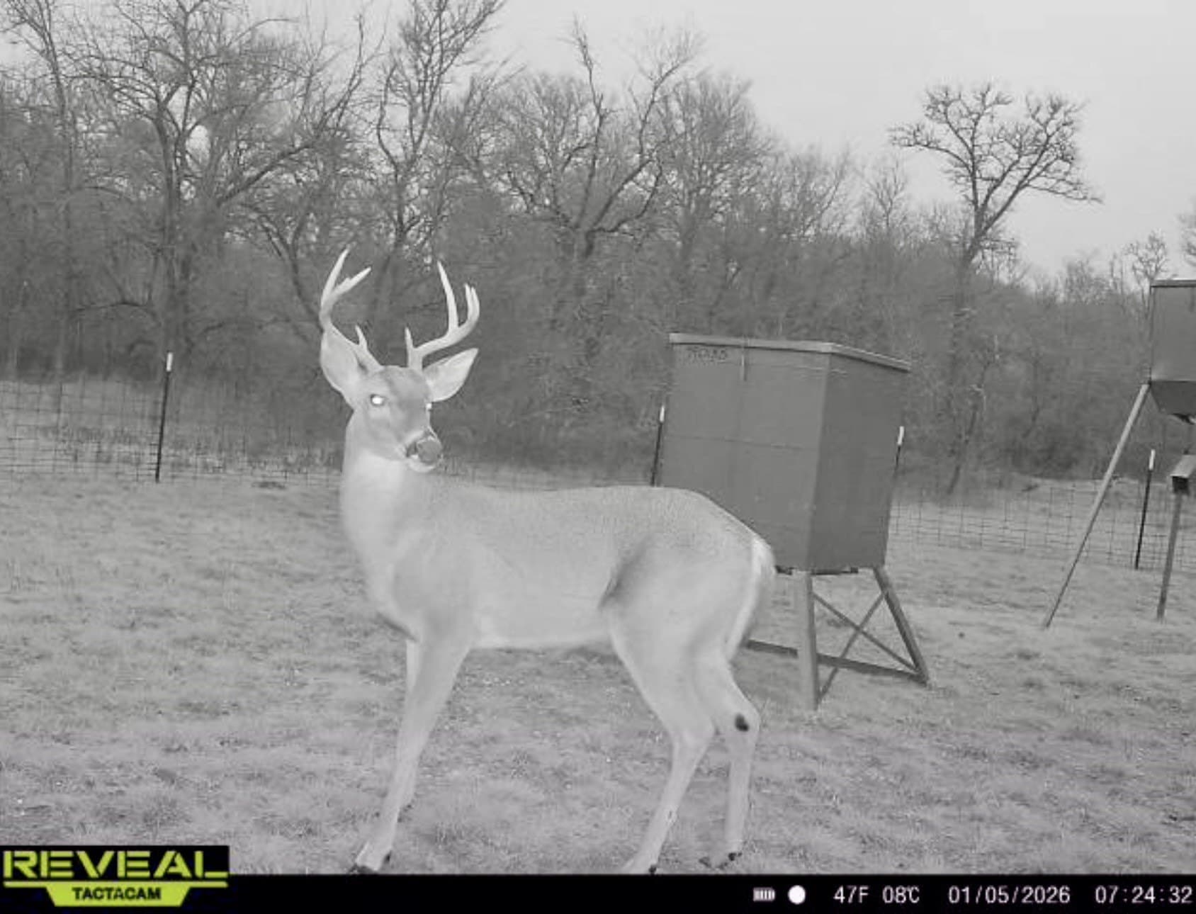 213.5 acres in Freestone County - photo 16