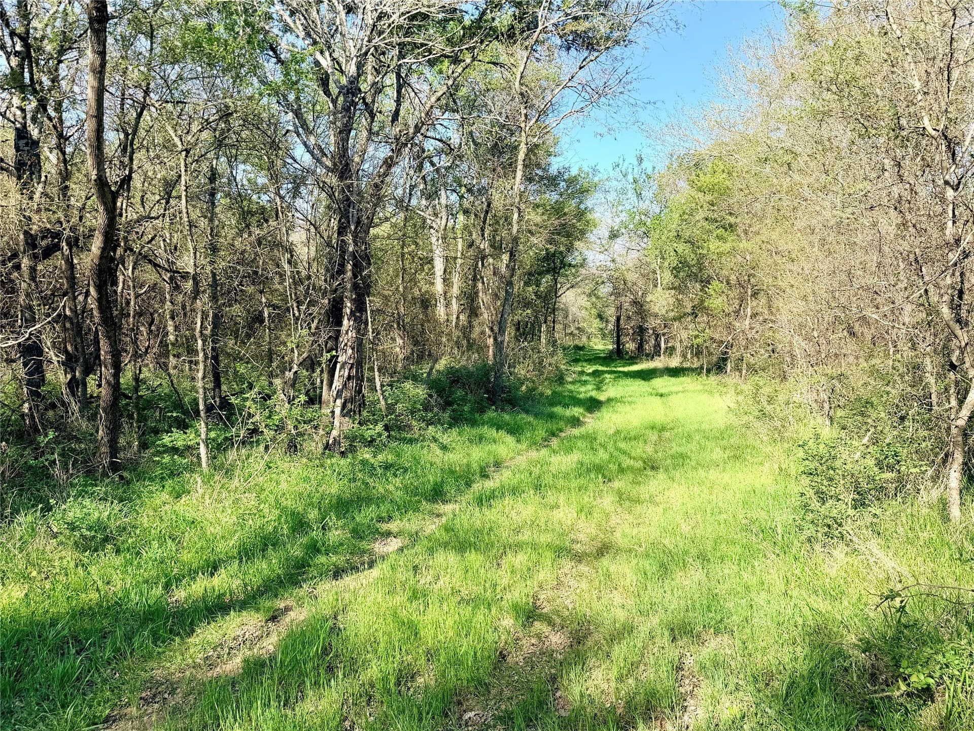 213.5 acres in Freestone County - photo 31