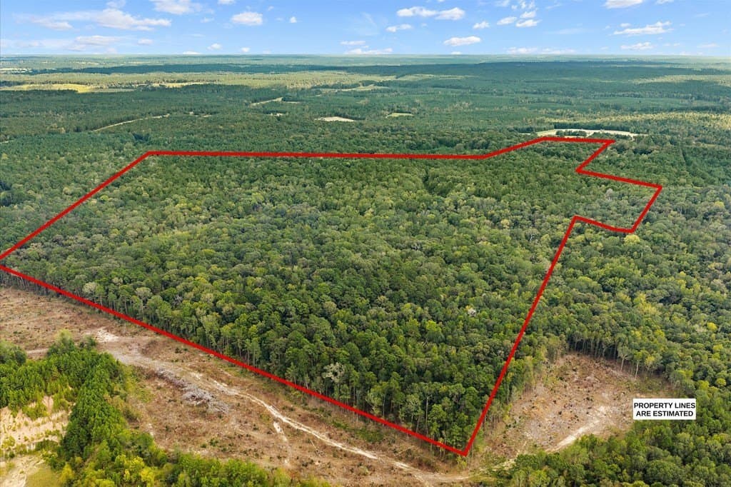 141.59 acres in Texas County - photo 10