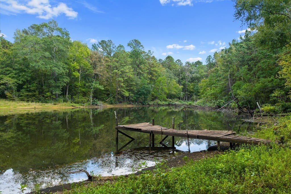 141.59 acres in Texas County - photo 15