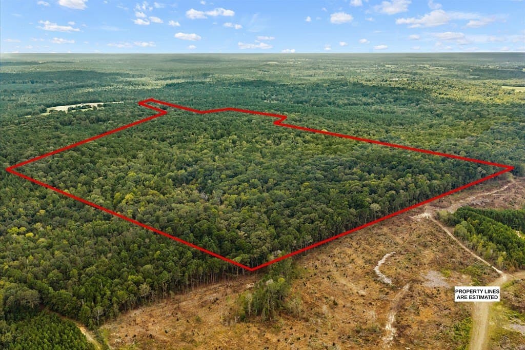 141.59 acres in Texas County - photo 11