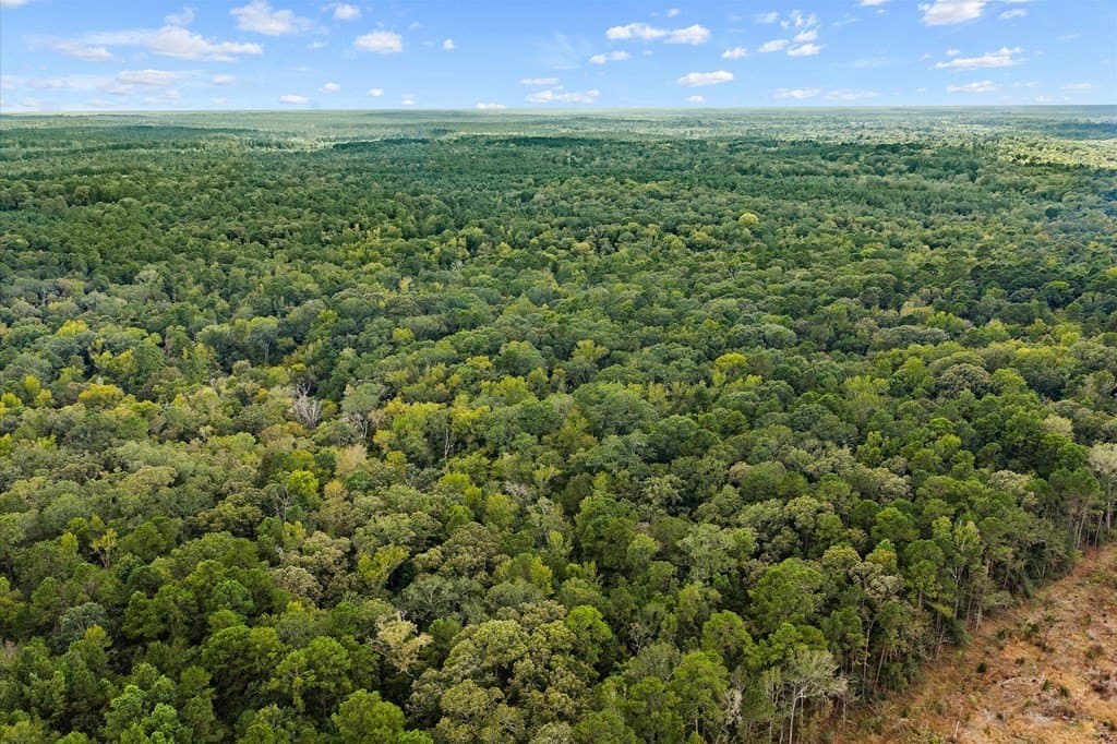 141.59 acres in Texas County - photo 12