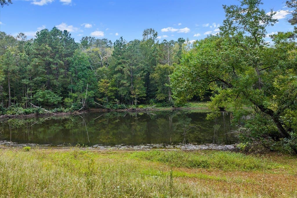 141.59 acres in Texas County - photo 13
