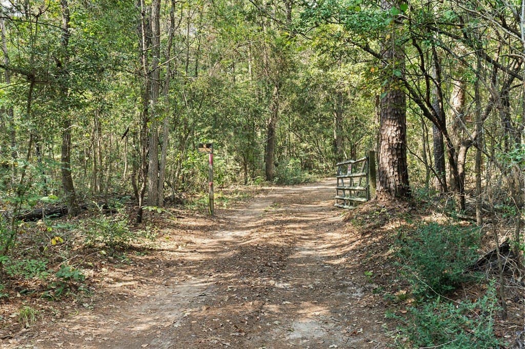 141.59 acres in Texas County - photo 18