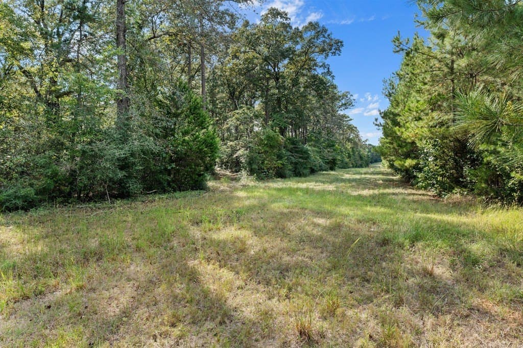 141.59 acres in Texas County - photo 17