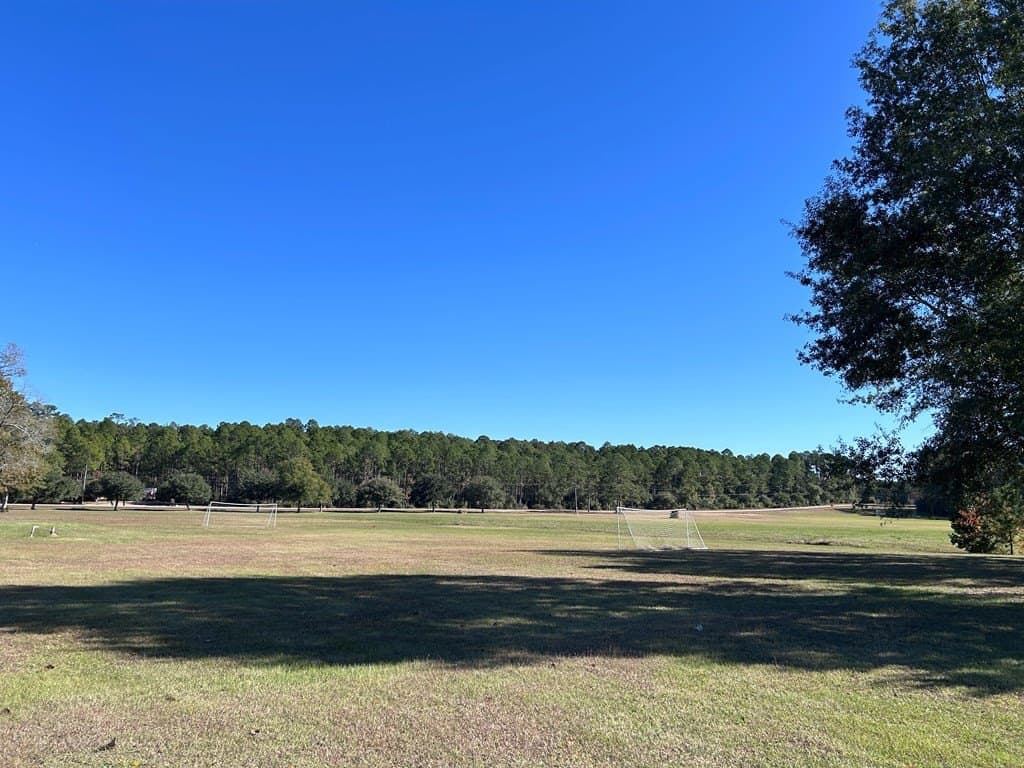 0.25 acres in Texas County - photo 15