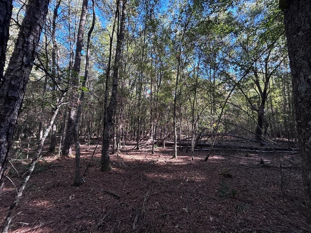 0.25 acres in Texas County