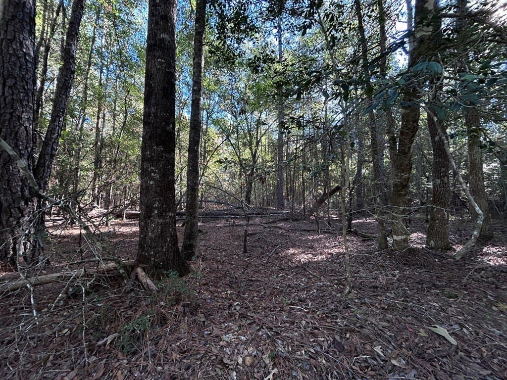 0.25 acres in Texas County featured view