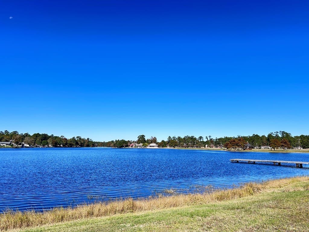 0.25 acres in Texas County gallery image 4