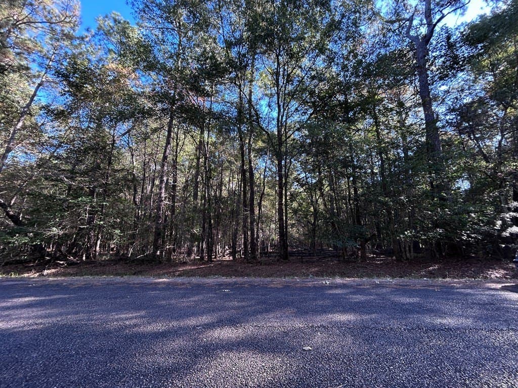 0.25 acres in Texas County - photo 7
