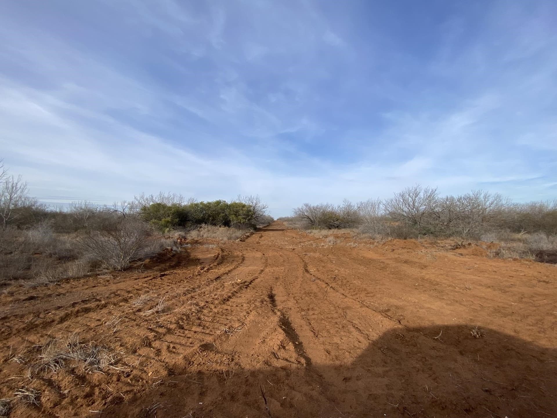 25 acres in La Salle County gallery image 4