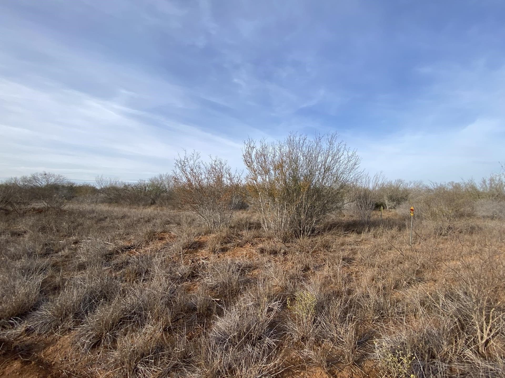 25 acres in La Salle County gallery image 3