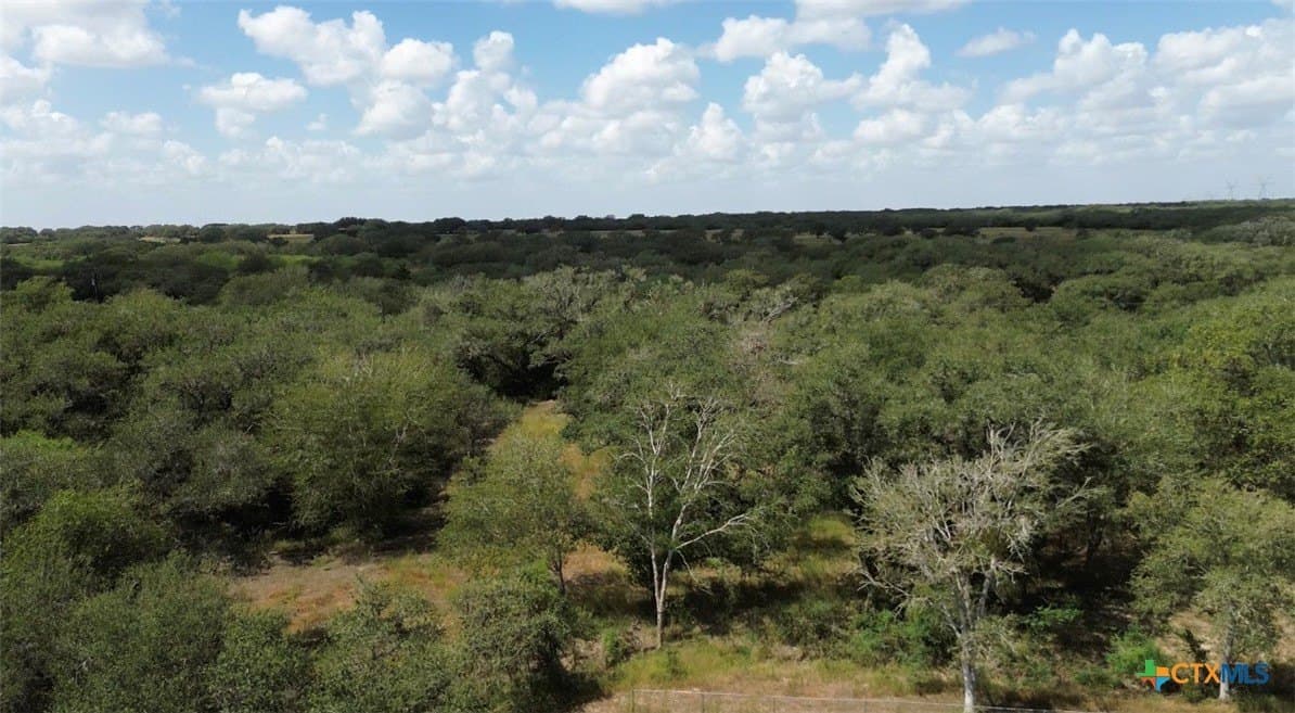 12.59 acres in Goliad County - photo 32